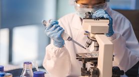 צילום: shutterstock